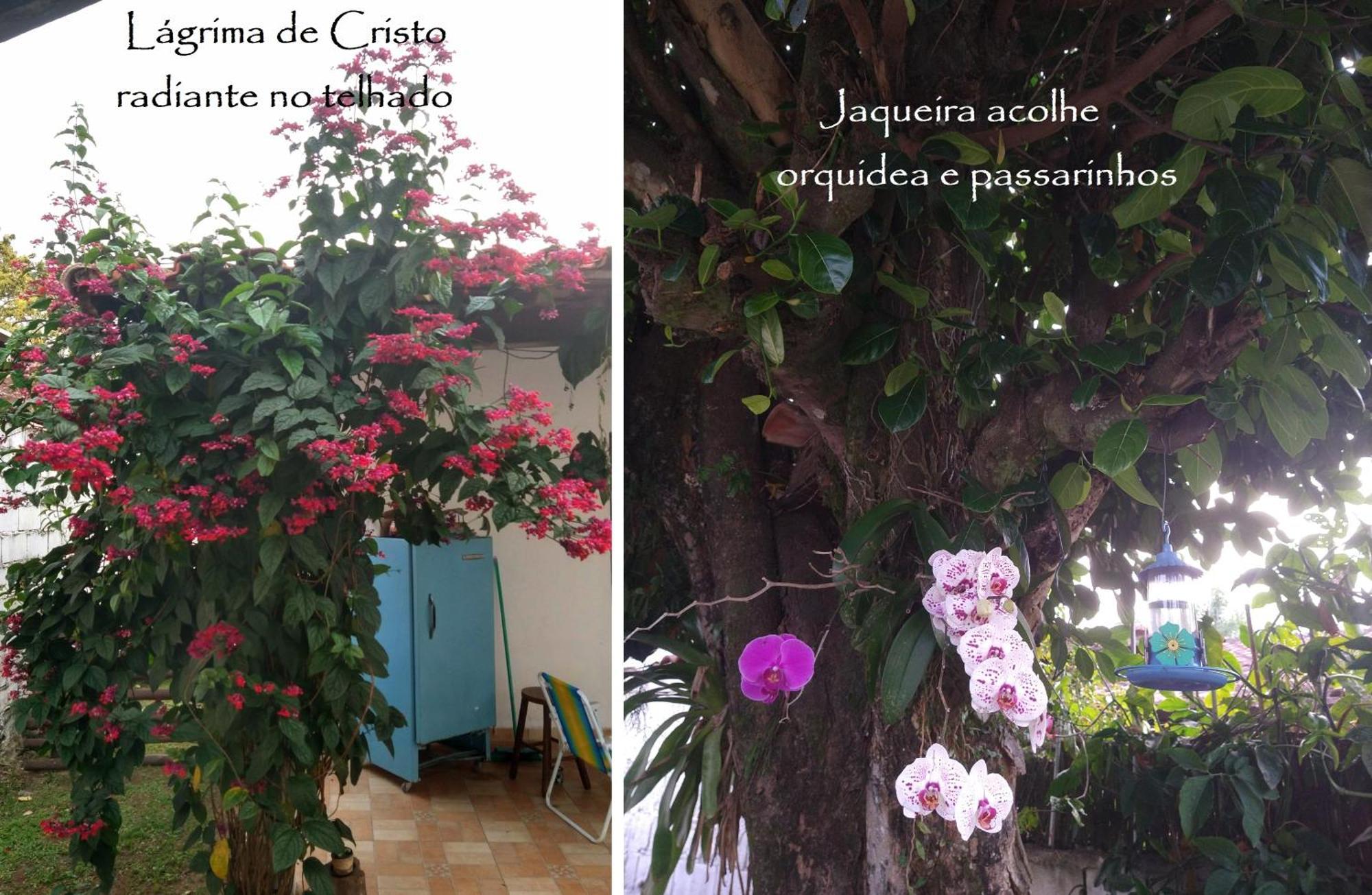 Chalé das Princesas Ilhabela Exterior foto